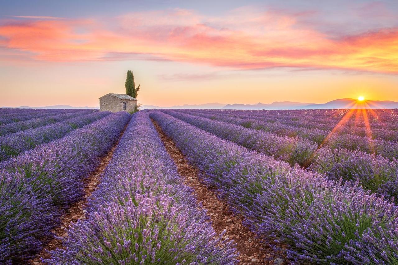 Apartmán Provence Now Cabrières-dʼAvignon Exteriér fotografie