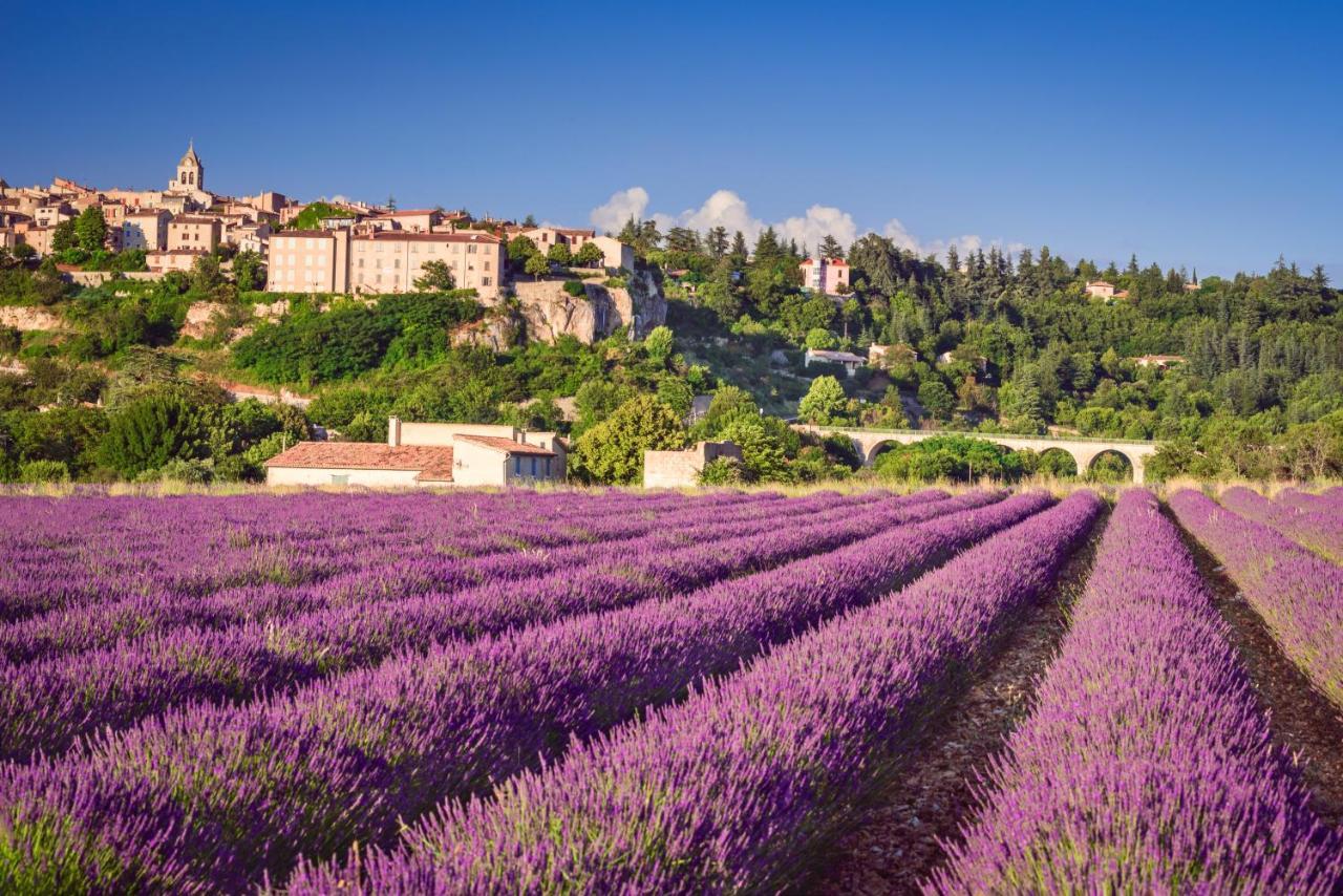 Apartmán Provence Now Cabrières-dʼAvignon Exteriér fotografie