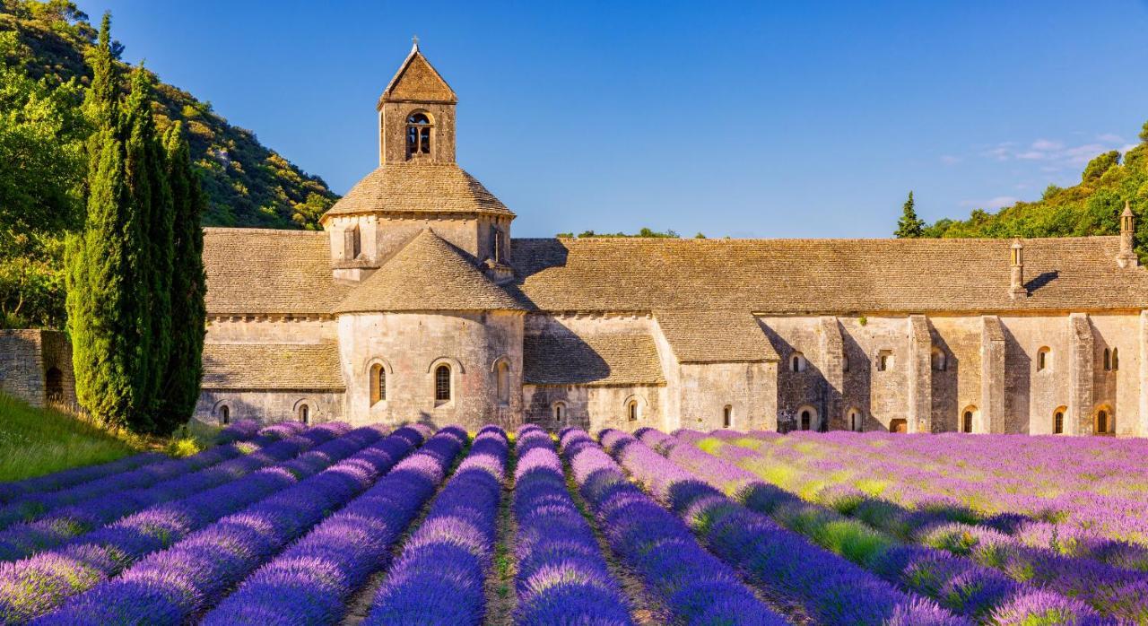 Apartmán Provence Now Cabrières-dʼAvignon Exteriér fotografie